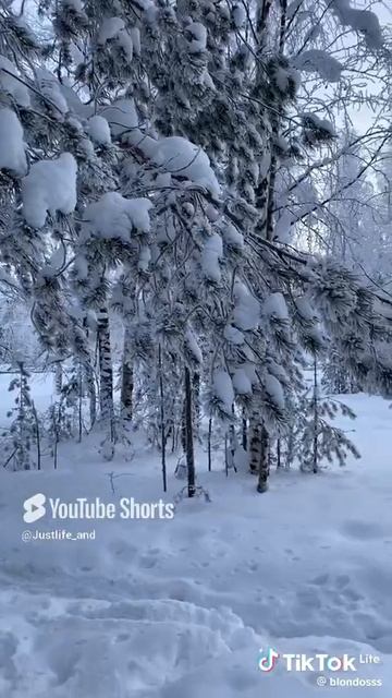 Снег #shorts