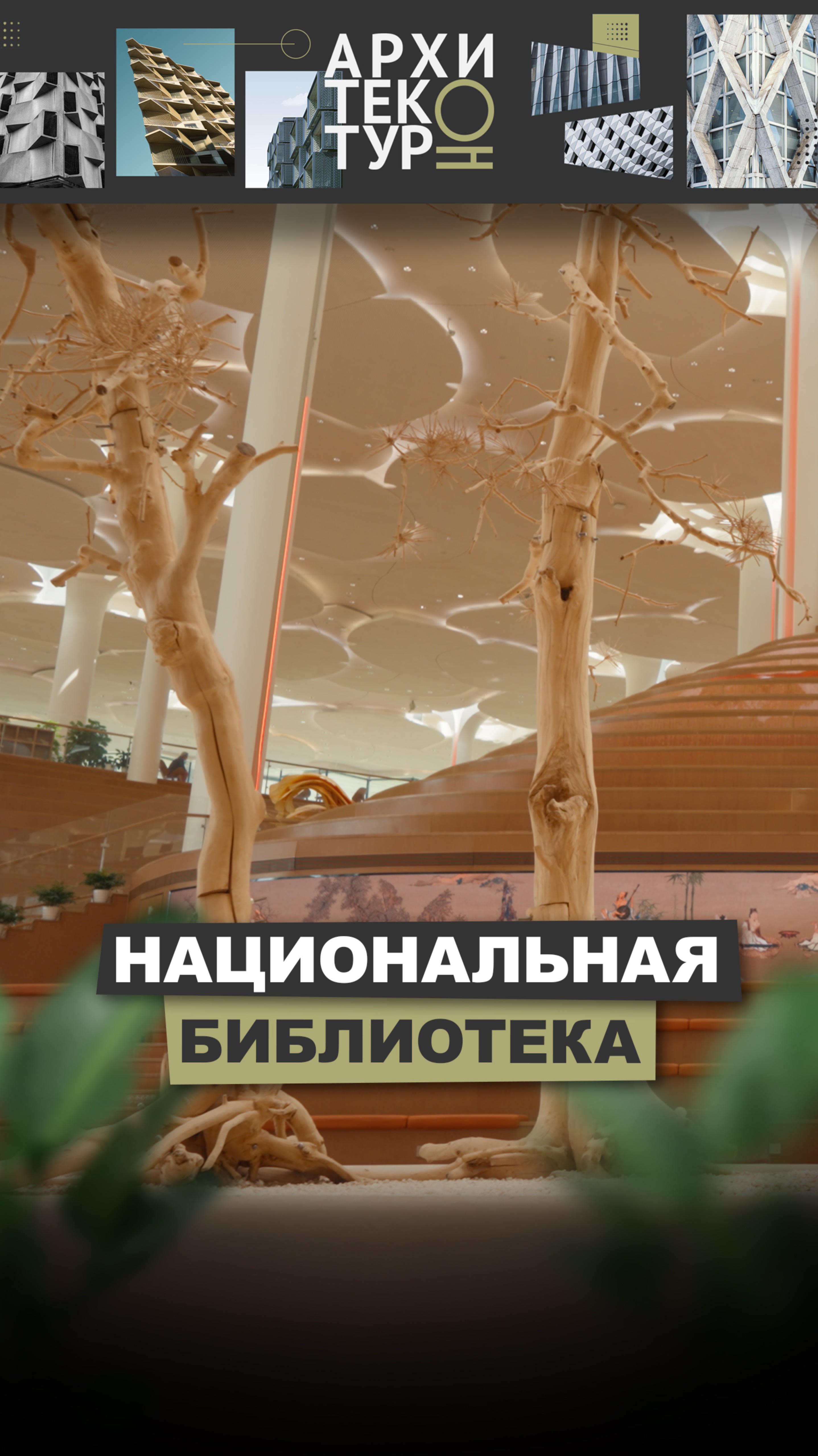 Национальная библиотека Пекина. Новая серия проекта АрхитектурНО с Дмитрием Михеевым