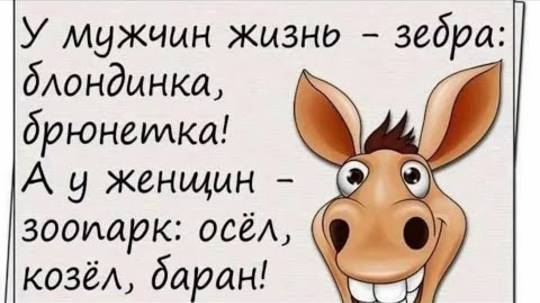 С добрым утром! Самые прикольные открытки с добрым утром!