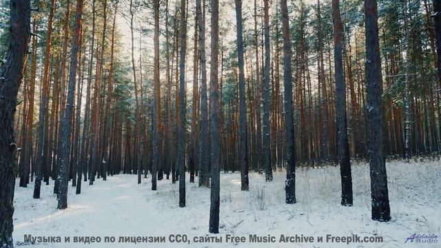 Эта песня станет вашим личным гимном свободы и любви в пути - Revealed -- Ketsa -- Summer With Sound
