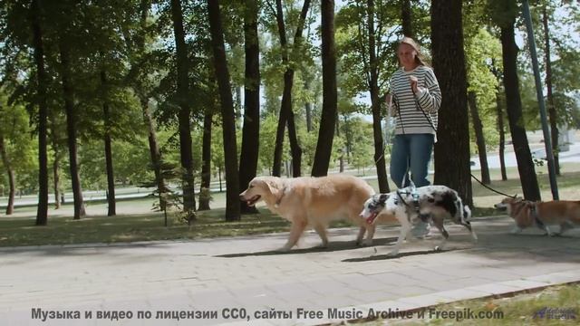 Музыка качает сильнее, чем буря над полями - Just what I had Saw in the Lands down there includes Pu