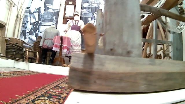 Серебряное ожерелье России СПбУТУиЭ.