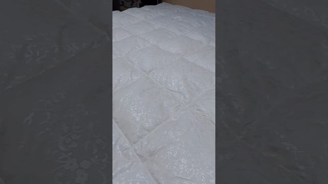 1000316339.mp4