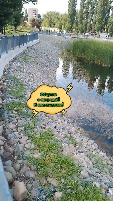 Пруд в парке у Сити молл. Отдых