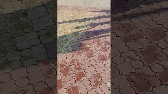 1000073265.mp4