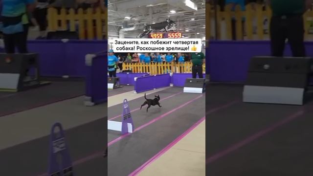VID-20250613-WA0147