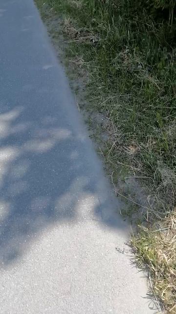 VID_20250615_153205