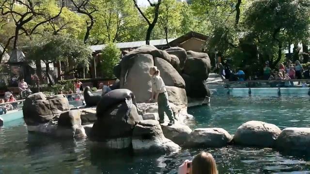 NY ZOO 2010