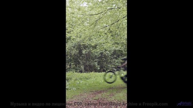 Песня, под которую хочется уйти в лес - Disturbing Hybrid -- One Man Book -- Life is a Language