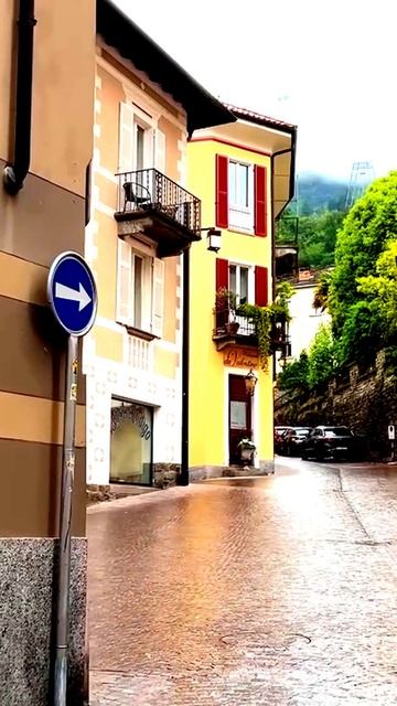 Камера засняла редкое событие