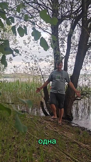 потоп хаусбот