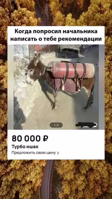 [https://t.me/lilmanada|ЗНМ]
