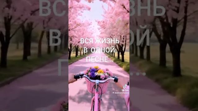 Вся жизнь в одной песне