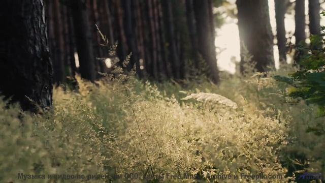 Музыка делает каждый холм и реку бесконечными - Garland Day! -- Nutmeg -- Almanac - Circle of Days p