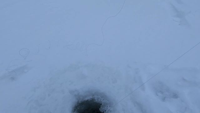 зимняя рыбалка 2024  зимняя жерлица  щука на живца