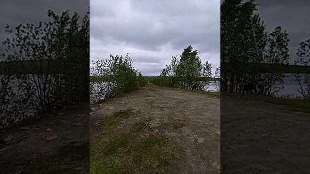petal_20250615_202101.mp4