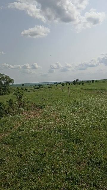 Хороший летний день