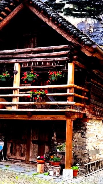 Зафиксировано объективом