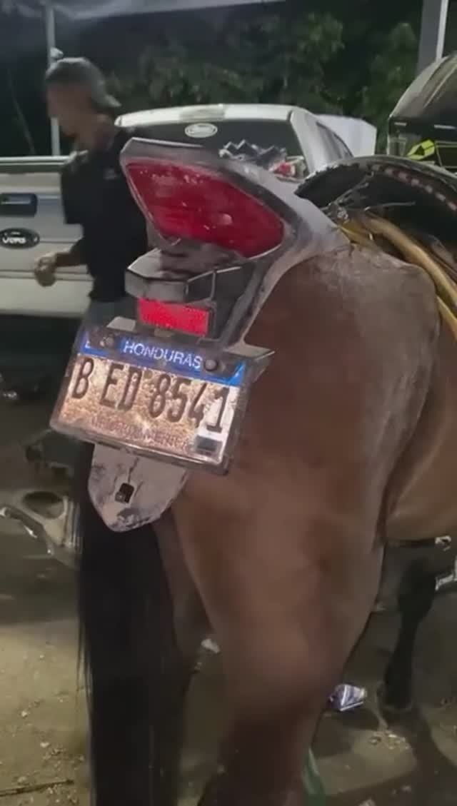 Когда у тебя есть две мечты, но денег хватает только на одну 😂😂😂