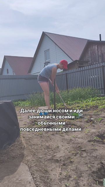дыши по новому