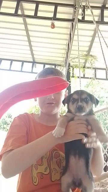 scene_output.mp4