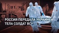 Россия передала Украине 1200 тел солдат ВСУ