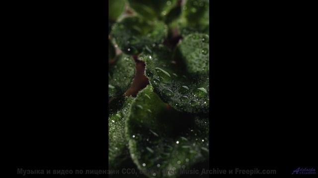 Это видео - как глоток свободы для вашей души! - Standing In The Rain -- Kirk Osamayo -- Season Two