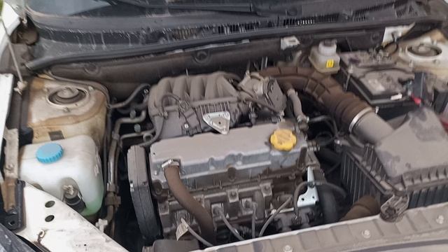 1000126480