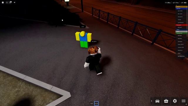 Провинция RP на ночной карте в игре Roblox