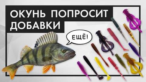 ТОП лучших приманок для ловли окуня в 2025 году — проверенные снасти для отличного улова