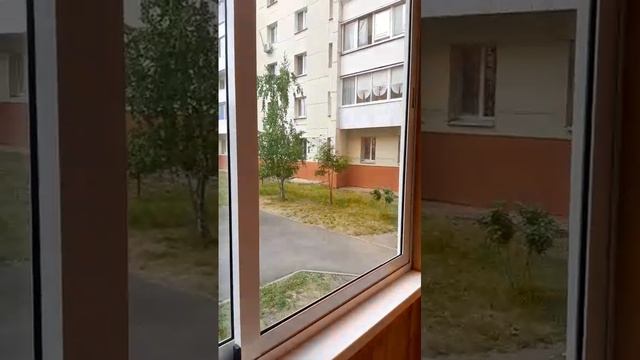 videooo