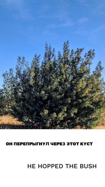 Прыгать