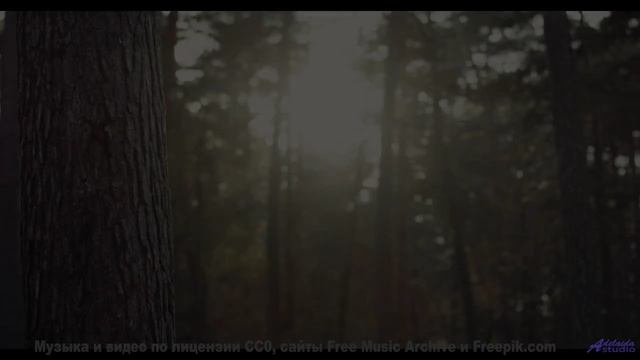 Ты либо рвёшь вперёд под этот бит, либо стоишь на месте! - Wie lange noch (CB 045) -- Checkie Brown