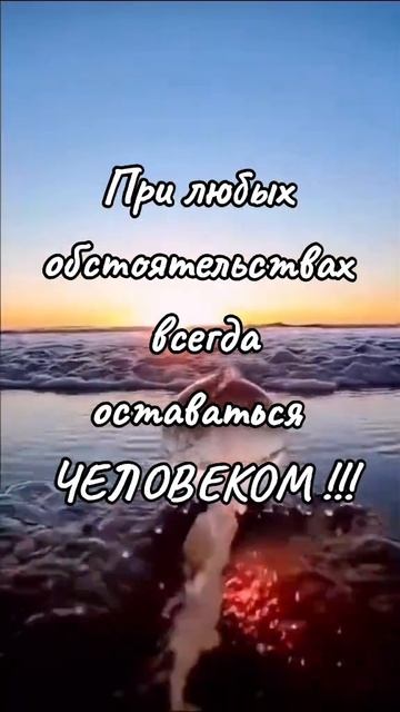 В жизни есть один главный статус...