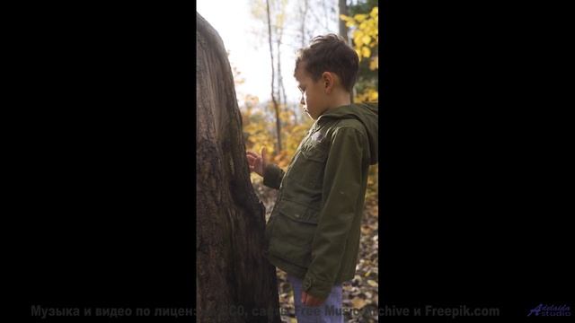 Звуки, повышающие IQ - слушайте каждый день! - Looking Within -- Kirk Osamayo -- Season Two (GREEN)