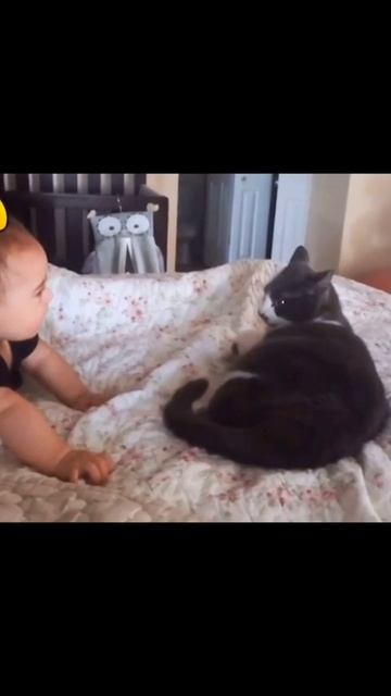 Не забудь подписаться👍🏻 #смешныевидео #приколы #прикол #анекдоты #дети #коты #юмор #скетчи #кино