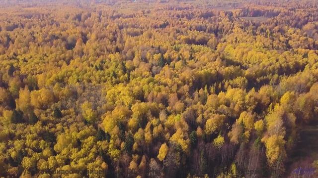 Музыка для поцелуев на крыше машины где-то посреди бескрайних полей - Ресторан Говно -- POVALISHIN D