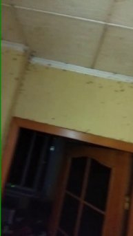 video-05038602f4efd904307659a4dc28d635-V