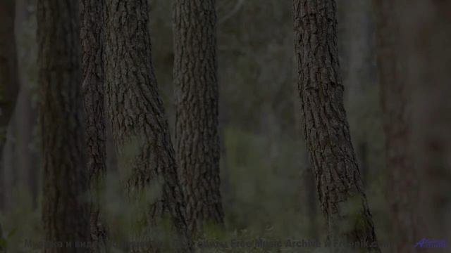 Пейзажи проникают в душу под этот трек - Unfair To Me -- Derek Clegg -- Good Graces