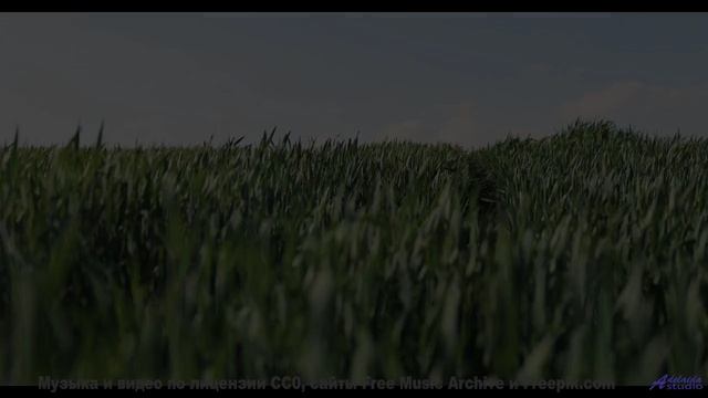 Это не просто клип - это путешествие в страну любви! - Brother -- RUBBERDOLLIES -- Brother