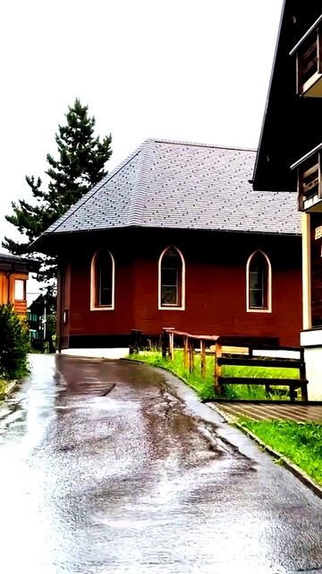 Камера сняла, как это произошло