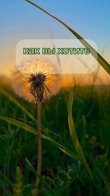 Практика, что поднимет настроение