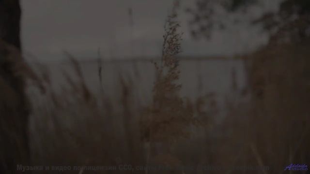 Этот клип уничтожит стресс и вернёт вкус к жизни - All For Nothing (Instrumental) -- Anthem of Rain