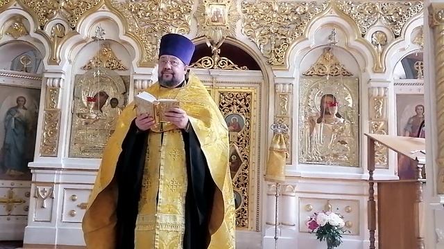 Проповедь протоиерея Геннадия Антонова в Неделю 1-ю по Пятидесятнице, Всех святых