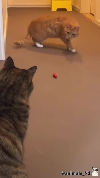 Подпишись 👉 https://vk.com/ykrasheniy_iz_kamny