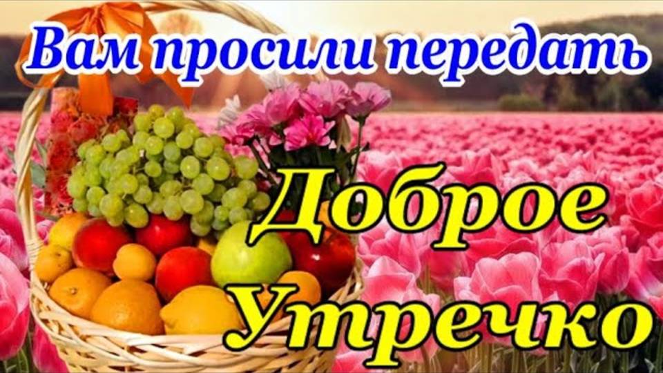 С Добрым Утром! Хорошего дня ☕🌹Красивейшие Пожелания Доброго Утра и Здоровья!