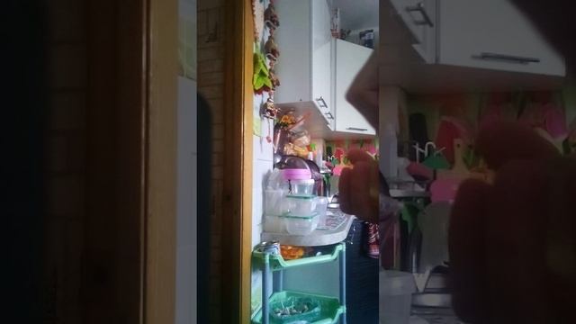 VID_20241103_101949.3gp
