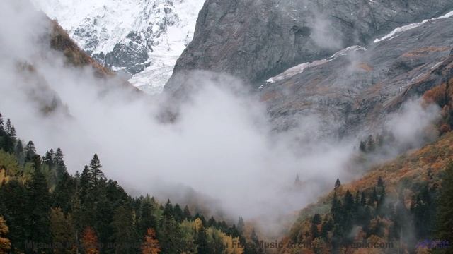 Это видео взломает ваше восприятие - берегитесь! - ESTO NO ES PROFESIONAL, PORQUE ME CREO LOLISHIIIT