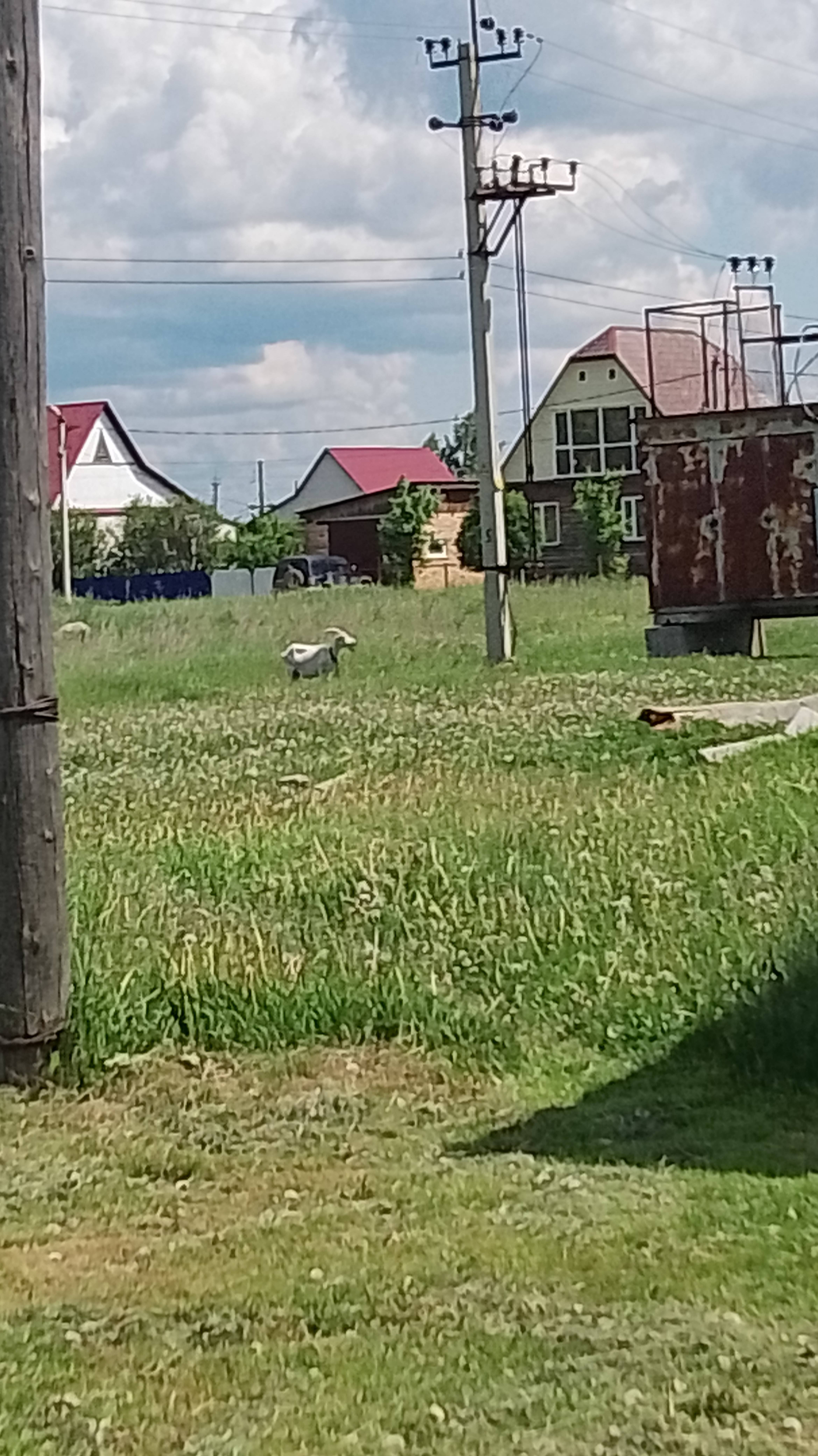 Вечерний влог в деревне 🧸