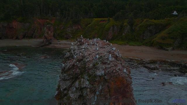Леса и поля вибрируют вместе с этим саундом - 20 Minute Meditation 2 -- HoliznaCC0 -- Space - Sleep